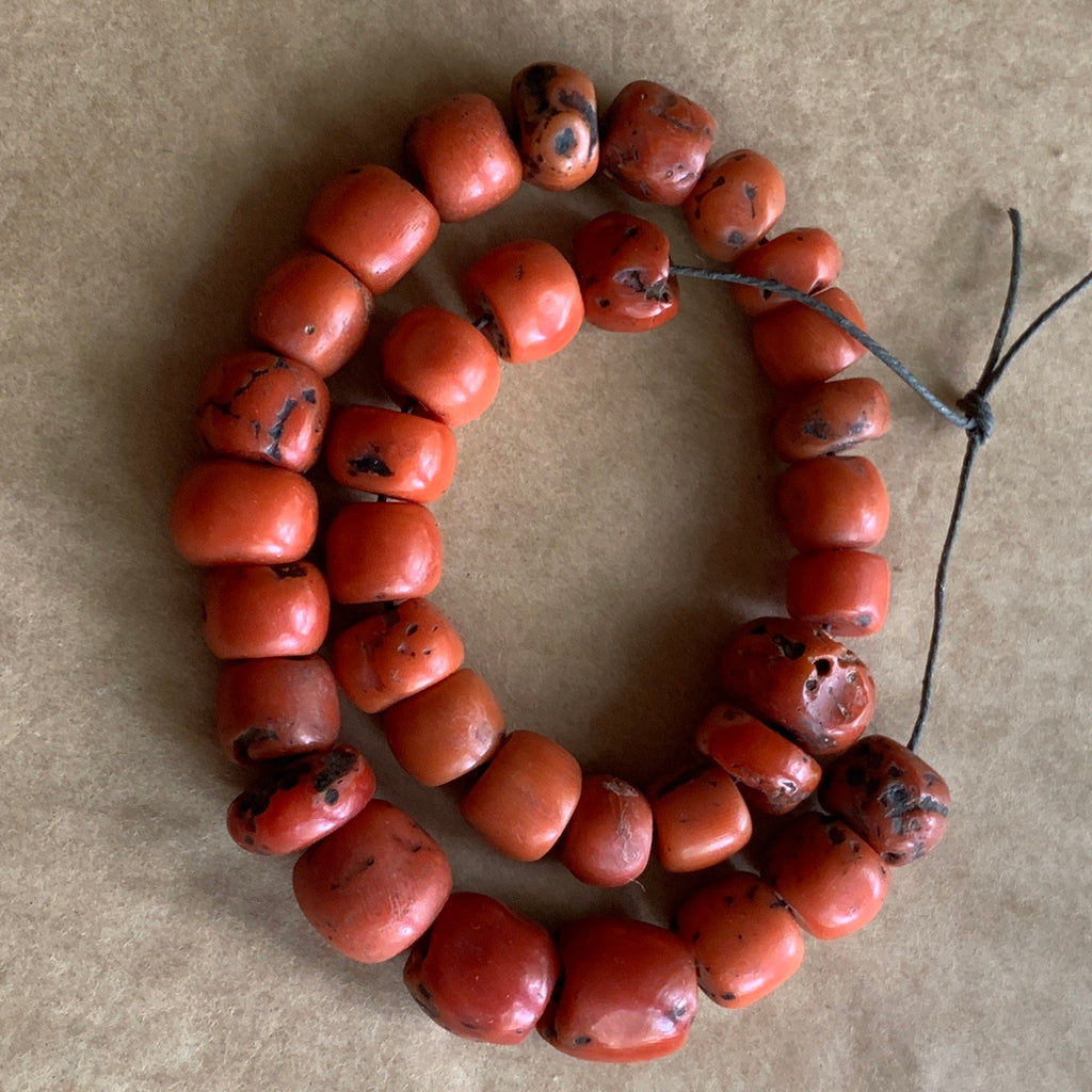 Red Coral Beads  Beads After Beads
