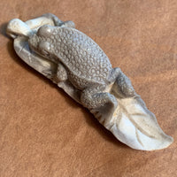 White Tail Deer Antler, Frog Pendant