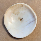 Antique Naga Conch Shell Pendant