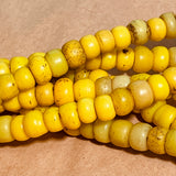 Bright Yellow Padre Beads