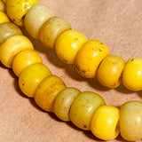 Bright Yellow Padre Beads
