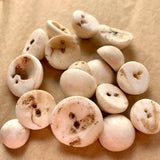 Domed Shell Buttons, Mali