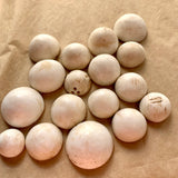 Domed Shell Buttons, Mali