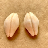Pair of Shell Buttons, Mali