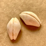 Pair of Shell Buttons, Mali