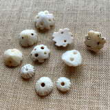 Small Carved Shells, Mali, Set of 10