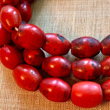 Sherpa Coral Beads, Nepal