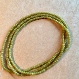 "Greasy" Green Seed Beads, Nagaland