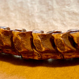Large Snake Vertebrae Beads, Nigeria