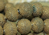 Yorbua Bumpy Brass Beads, Strand
