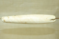 Cool Tribal Conch Shell Bead from Nagaland