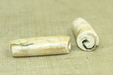 Pair of Small Tribal Conch Shell Beads from Nagaland