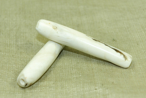 Pair of Shell beads from Nagaland, India