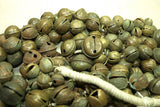 Huge Strand of Antique Bronze and Brass Bells from Nigeria