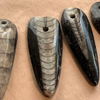 Orthoceras Fossil, Drilled