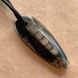 Orthoceras Fossil, Drilled
