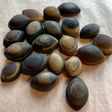 Marquis Shape Agate Cabs, Nepal