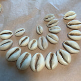 Bag of 20 Cowrie Shell Beads