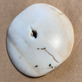 Antique Naga Conch Shell Pendant