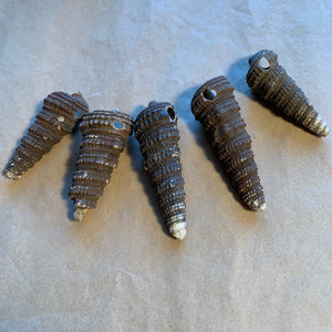5 Brown Seashell Pendants, Burkina Faso
