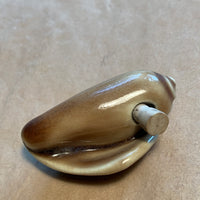 Ceramic Shell Pendant, Brown Glazed Vessel