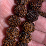 18mm Rudraksha Mala