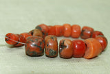 Strand of Small, Gorgeous Berber Red Coral Beads