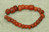 Impressive Strand of 24 Small Berber Red Coral Beads
