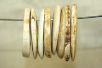 Very Large Kualia Shell from Papau New Guinea