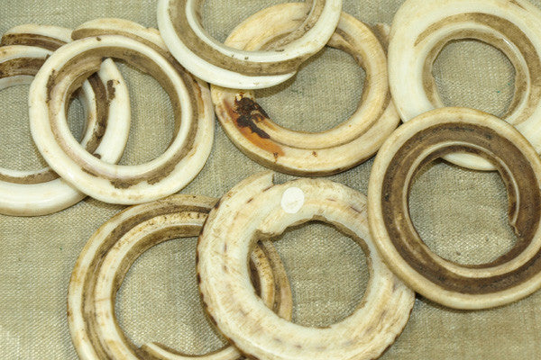Kuja Shells Very Large Kualia Shell from Papau New Guinea | Beadparadise.com
