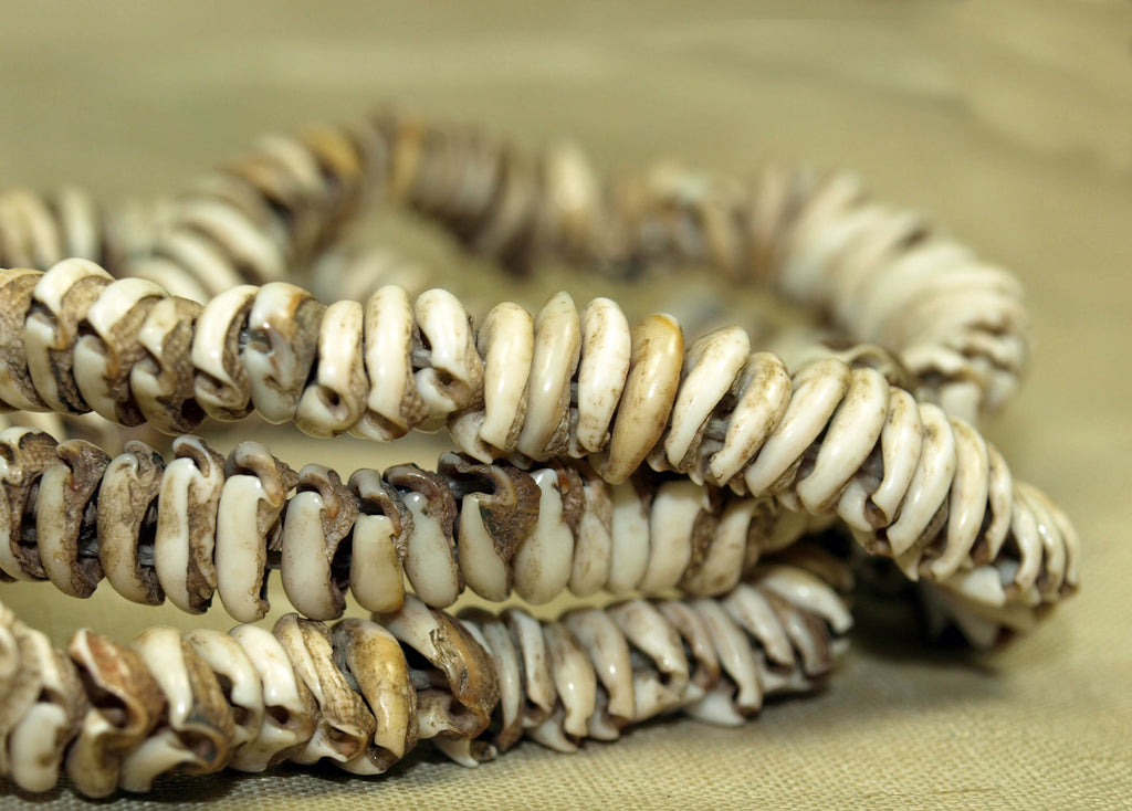 Antique Mini Cowrey Shell Necklace from Papau New Guinea