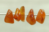 Bag of Carnelian Chips
