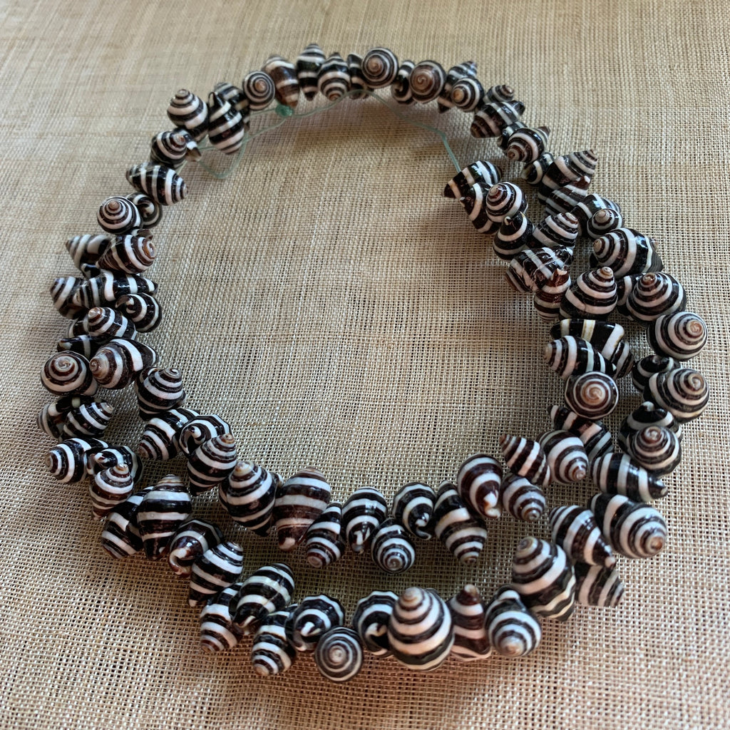 Strand of Moroccan Zebra Shells | Beadparadise.com