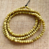 Antique Greasy Yellow 5º Seed Beads