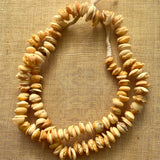 Strand of small Shell Beads, Mauritania