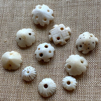 Small Carved Shells, Mali, Set of 10