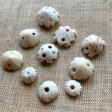Small Carved Shells, Mali, Set of 10