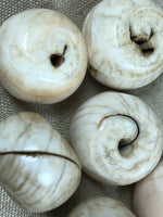 Conch Shell Beads from Nepal/Tibet
