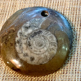 Ammonite Fossil Pendants