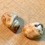 Large Conch Shell Beads, Nepal