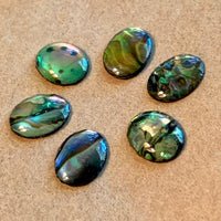 Oval Paua Shell Cabs