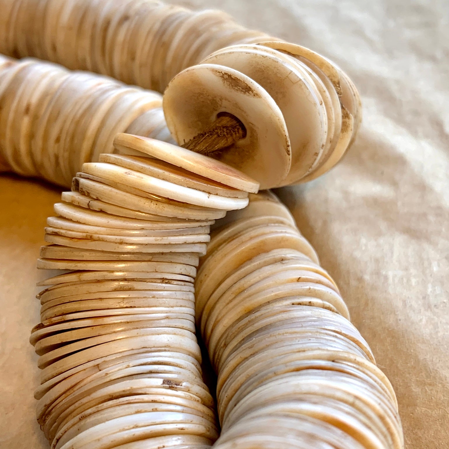 Vintage Flat Shell Discs, Togo | Beadparadise.com