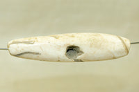 Large Tribal Conch Shell Bead from Nagaland