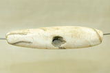 Large Tribal Conch Shell Bead from Nagaland