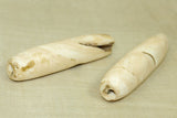 Pair of Large Conch Shell Beads from Nagaland