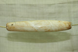 Huge Tribal Conch Shell Bead from Nagaland