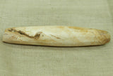 Huge Tribal Conch Shell Bead from Nagaland