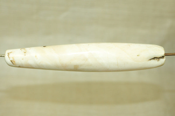Cool Tribal Conch Shell Bead from Nagaland