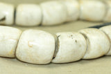 Medium Tribal Conch Shell Bead, Nagaland