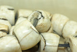 Large, Chunky  Conch Shell Bead, Nagaland
